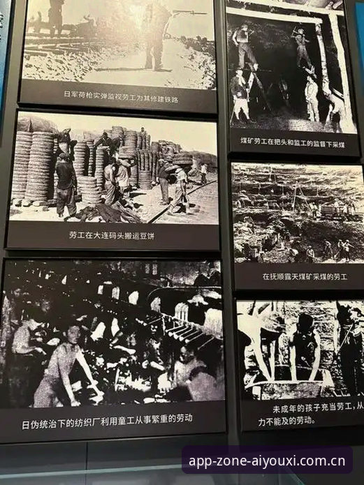 辽宁铁人换帅的战术试验场：瓦吉奇去留之争与三中卫体系的本土化平衡